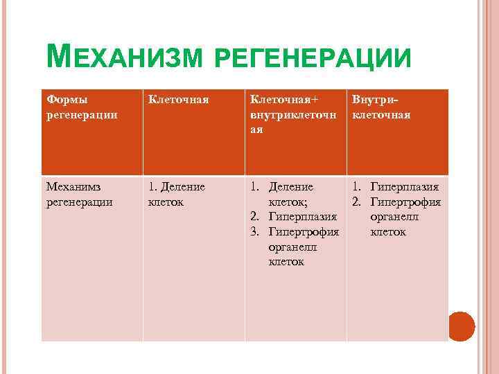МЕХАНИЗМ РЕГЕНЕРАЦИИ Формы   Клеточная+ Внутри- регенерации   внутриклеточн  клеточная 