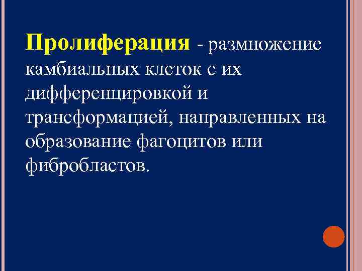 Пролиферация - размножение камбиальных клеток с их дифференцировкой и трансформацией, направленных на образование фагоцитов