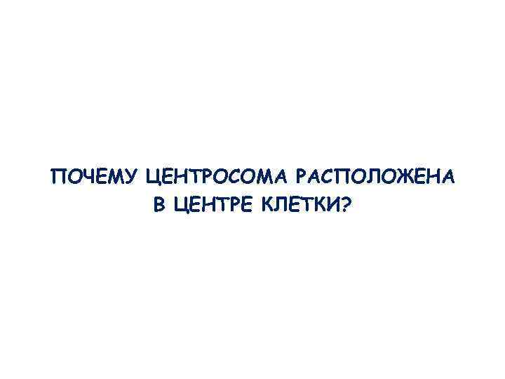 ПОЧЕМУ ЦЕНТРОСОМА РАСПОЛОЖЕНА В ЦЕНТРЕ КЛЕТКИ? ПОЧЕМУ ЦЕНТРОСОМА РАСПОЛОЖЕНА В ЦЕНТРЕ КЛЕТКИ?