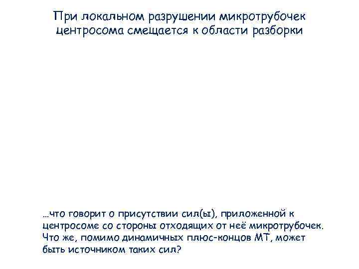 При локальном разрушении микротрубочек центросома смещается к области разборки …что говорит о присутствии При локальном разрушении микротрубочек центросома смещается к области разборки …что говорит о присутствии