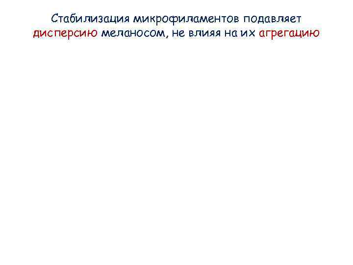 Стабилизация микрофиламентов подавляет дисперсию меланосом, не влияя на их агрегацию Стабилизация микрофиламентов подавляет дисперсию меланосом, не влияя на их агрегацию