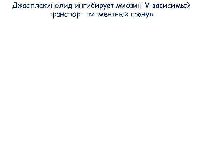 Джасплакинолид ингибирует миозин-V-зависимый транспорт пигментных гранул Джасплакинолид ингибирует миозин-V-зависимый транспорт пигментных гранул