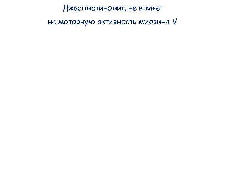 Джасплакинолид не влияет на моторную активность миозина V Джасплакинолид не влияет на моторную активность миозина V