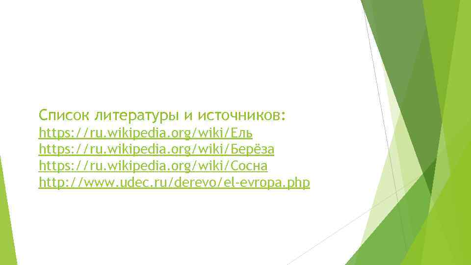 Список литературы и источников: https: //ru. wikipedia. org/wiki/Ель https: //ru. wikipedia. org/wiki/Берёза https: //ru.
