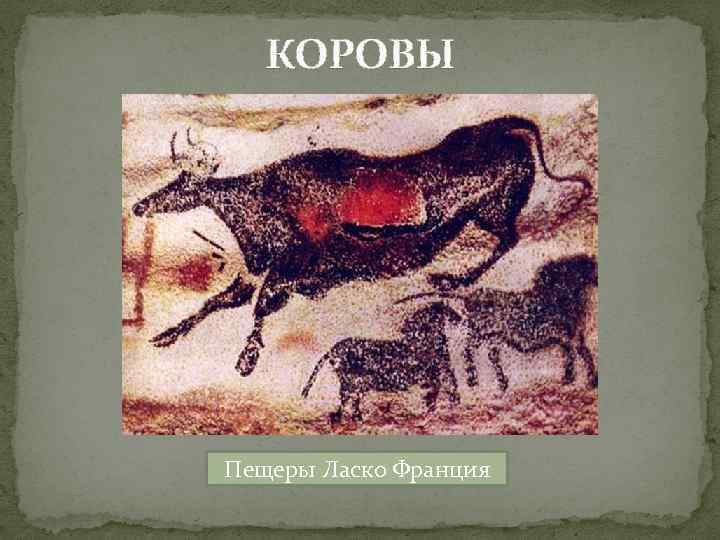 КОРОВЫ Пещеры Ласко Франция 