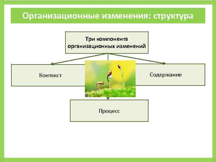 Проект изменения организационной структуры