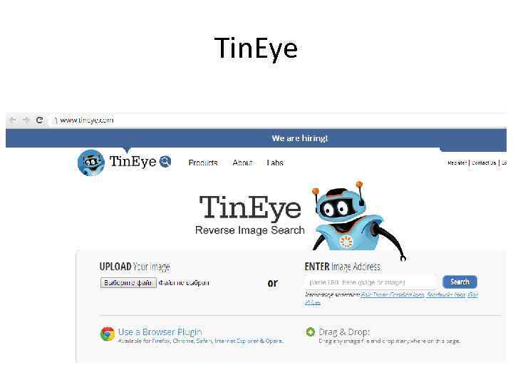 Tin. Eye 