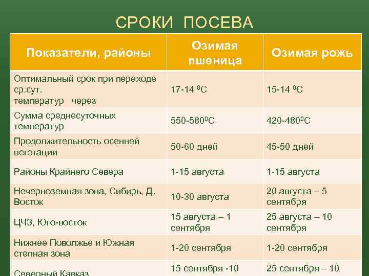 СРОКИ ПОСЕВА Показатели, районы Озимая пшеница Озимая рожь Оптимальный срок при переходе ср. сут.