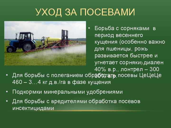 УХОД ЗА ПОСЕВАМИ • Борьба с сорняками в период весеннего кущения (особенно важно для