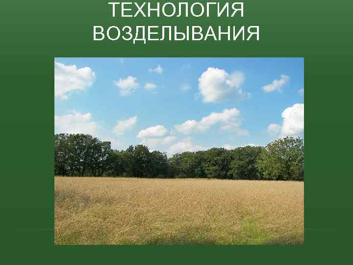 ТЕХНОЛОГИЯ ВОЗДЕЛЫВАНИЯ 
