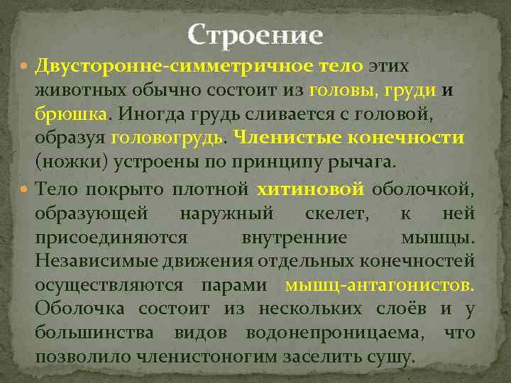 Строение Двусторонне-симметричное тело этих животных обычно состоит из головы, груди и брюшка. Иногда грудь