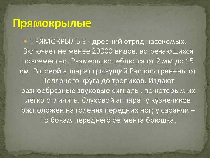 Прямокрылые ПРЯМОКРЫЛЫЕ - древний отряд насекомых. Включает не менее 20000 видов, встречающихся повсеместно. Размеры