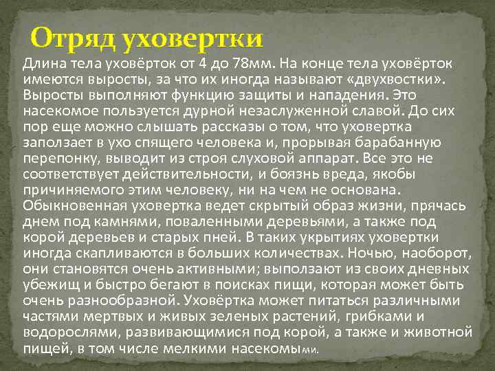 Отряд уховертки Длина тела уховёрток от 4 до 78 мм. На конце тела уховёрток