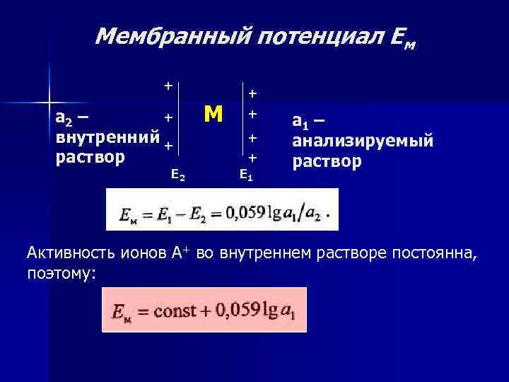 Мембранный потенциал Ем + + а 2 – внутренний + раствор Е 2 М