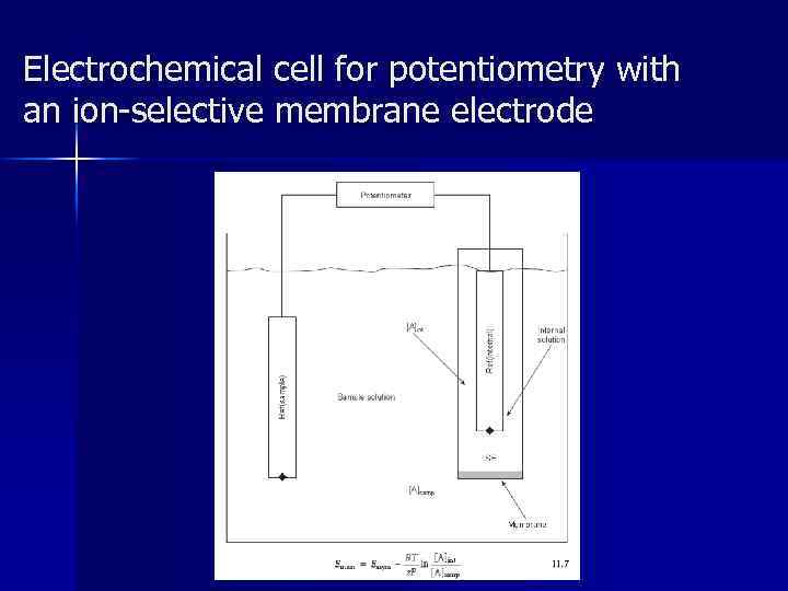 Electrochemical cell for potentiometry with an ion-selective membrane electrode 