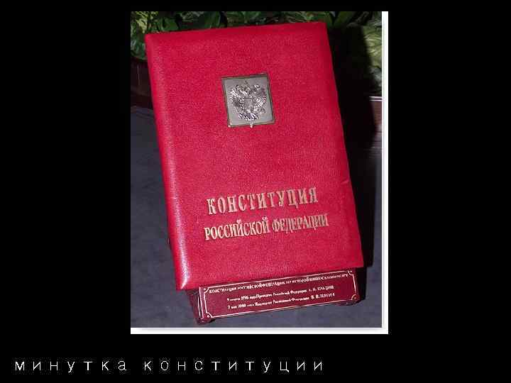 минутка конституции 