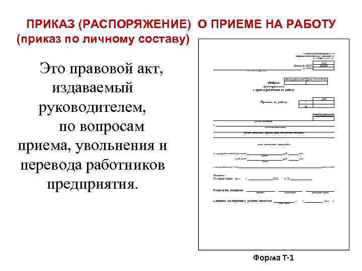 Приказ по личному составу образец