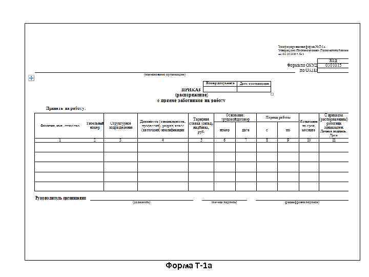 Форма Т-1 а 