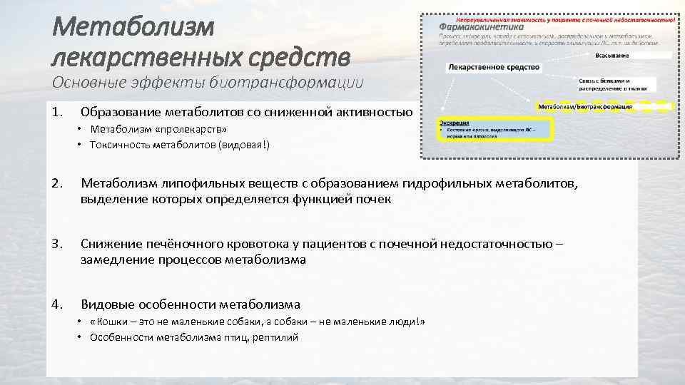 Метаболизм лекарственных средств Основные эффекты биотрансформации 1. Образование метаболитов со сниженной активностью • Метаболизм