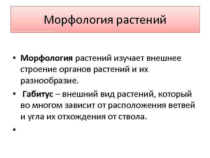 Морфология растений • Морфология растений изучает внешнее строение органов растений и их разнообразие. •