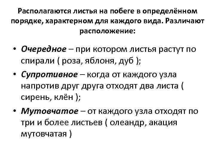 Располагаются листья на побеге в определённом порядке, характерном для каждого вида. Различают расположение: •