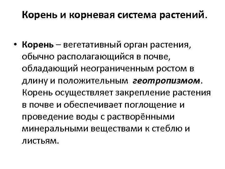 Корень и корневая система растений. • Корень – вегетативный орган растения, обычно располагающийся в