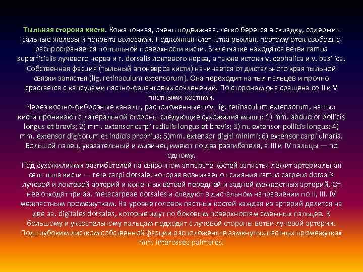 Тыльная сторона кисти. Кожа тонкая, очень подвижная, легко берется в складку, содержит сальные железы