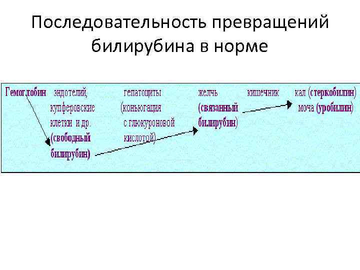 Правильный порядок преобразования жидкостей. Схема преобразования пигментов в норме. Последовательность превращения пигментов. Эндогенные пигменты и пигментации классификация.