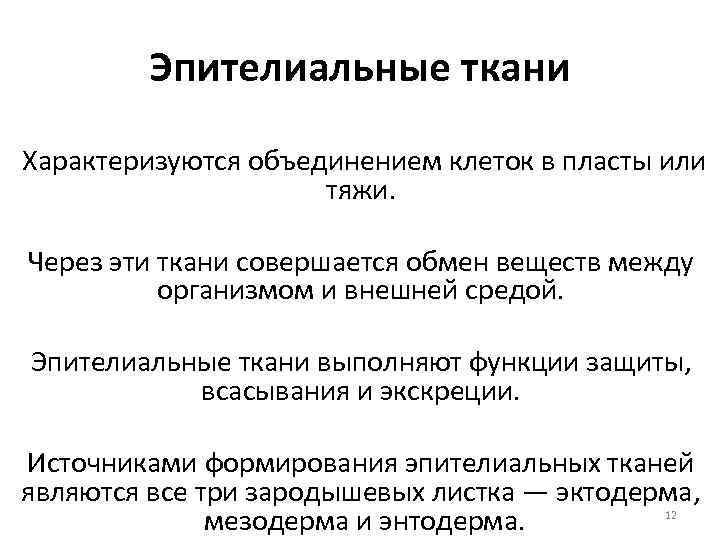 Эпителиальные ткани Характеризуются объединением клеток в пласты или тяжи. Через эти ткани совершается обмен