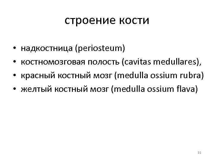 строение кости • • надкостница (periosteum) костномозговая полость (cavitas medullares), красный костный мозг (medulla