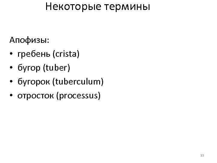 Некоторые термины Апофизы: • гребень (crista) • бугор (tuber) • бугорок (tuberculum) • отросток