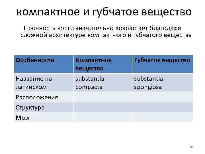 компактное и губчатое вещество Прочность кости значительно возрастает благодаря сложной архитектуре компактного и губчатого