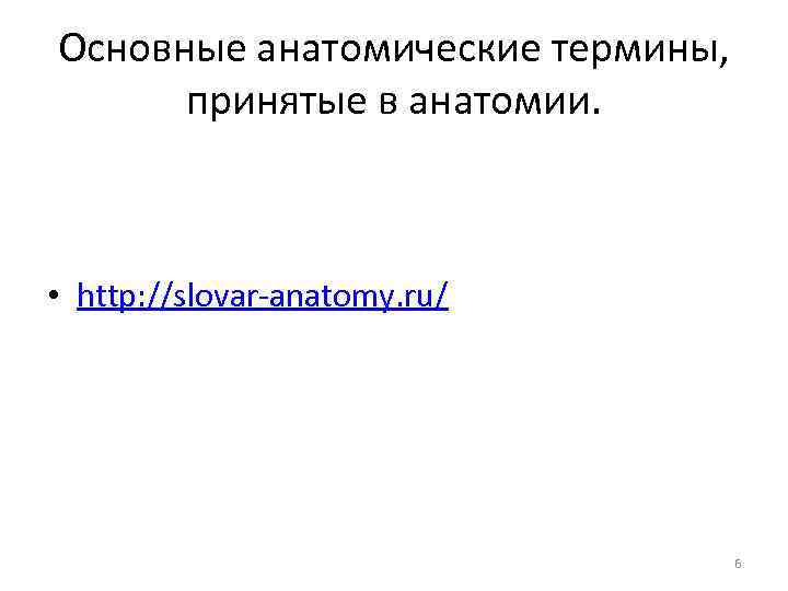 Основные анатомические термины, принятые в анатомии. • http: //slovar-anatomy. ru/ 6 
