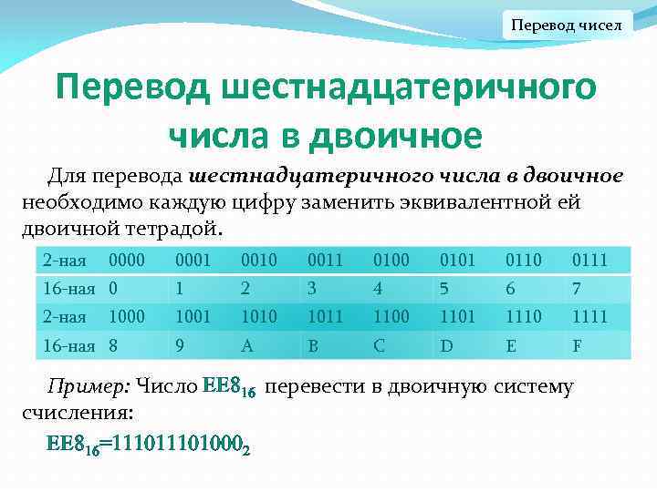 Перевод чисел Перевод шестнадцатеричного числа в двоичное Для перевода шестнадцатеричного числа в двоичное необходимо