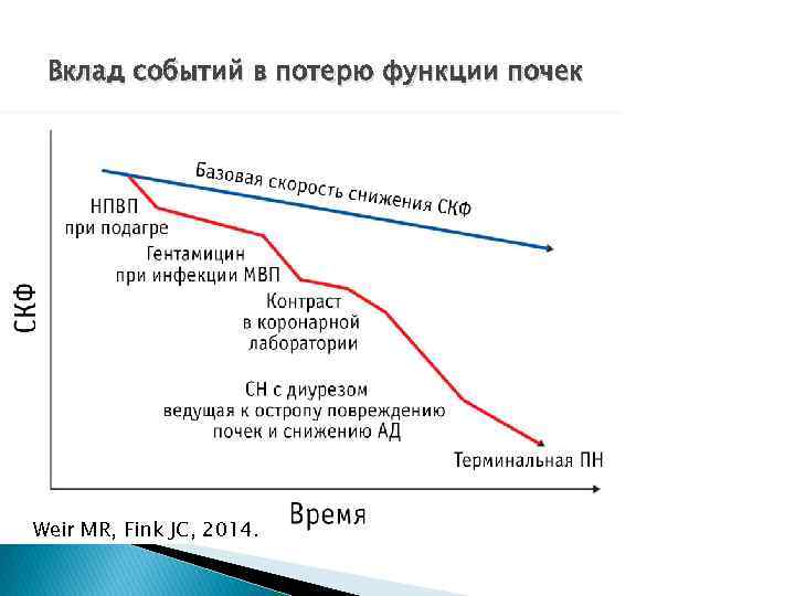 Вклад событий в потерю функции почек Weir MR, Fink JC, 2014. 