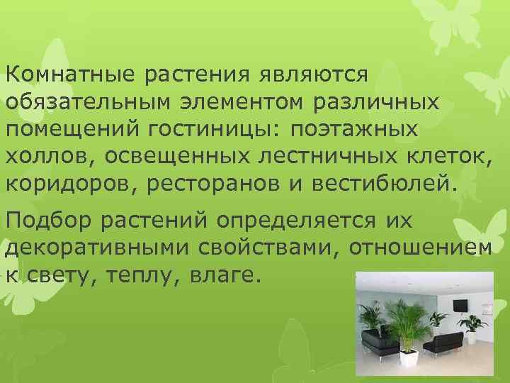 Комнатные растения являются обязательным элементом различных помещений гостиницы: поэтажных холлов, освещенных лестничных клеток, коридоров,