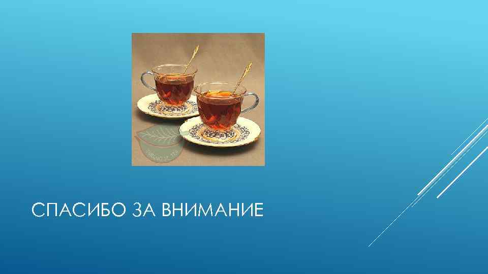 СПАСИБО ЗА ВНИМАНИЕ 