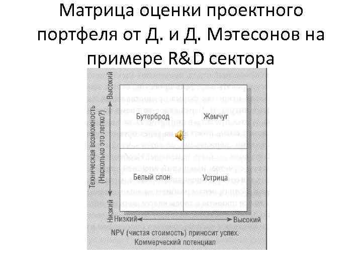 Матрица оценки проектного портфеля от Д. и Д. Мэтесонов на примере R&D сектора 