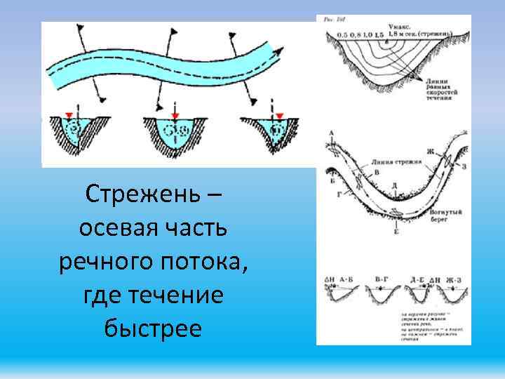 Стрежень – осевая часть речного потока, где течение быстрее 
