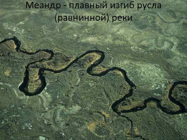 Меандр - плавный изгиб русла (равнинной) реки 