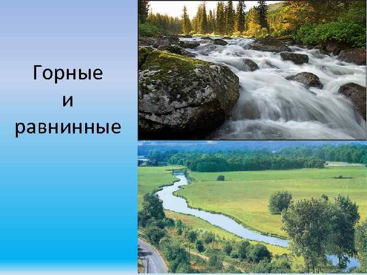 Горные и равнинные 