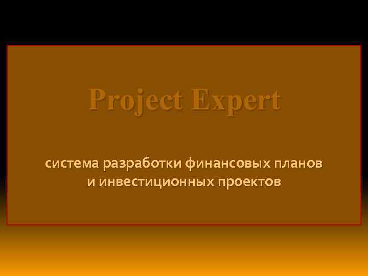 Project Expert система разработки финансовых планов и инвестиционных проектов 