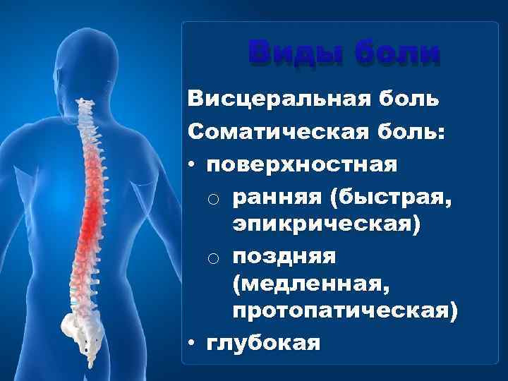 Виды боли Висцеральная боль Соматическая боль: • поверхностная o ранняя (быстрая, эпикрическая) o поздняя