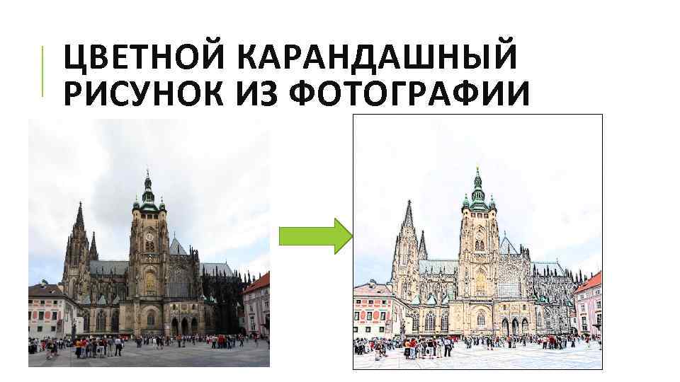 ЦВЕТНОЙ КАРАНДАШНЫЙ РИСУНОК ИЗ ФОТОГРАФИИ 