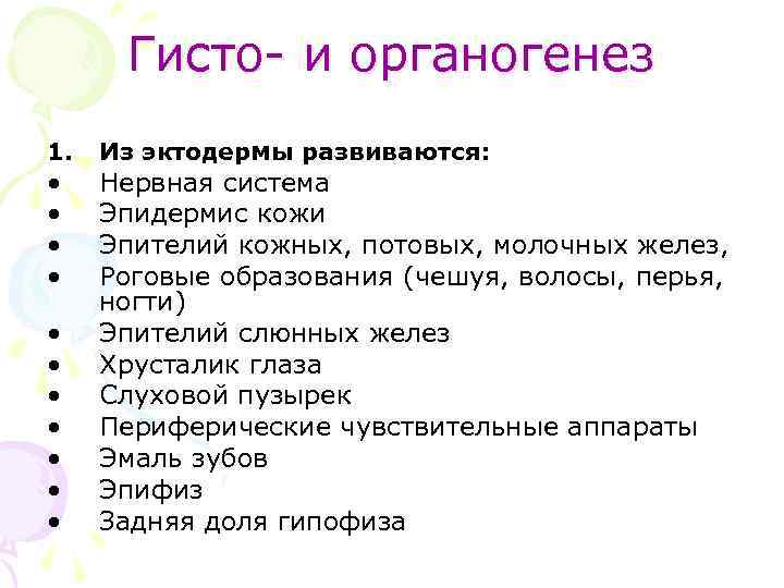 Гисто- и органогенез 1. • • • Из эктодермы развиваются: Нервная система Эпидермис кожи