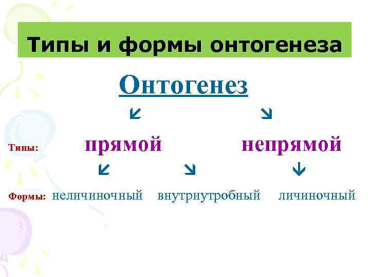 Типы и формы онтогенеза Онтогенез Типы: прямой Формы: неличиночный непрямой внутриутробный личиночный 