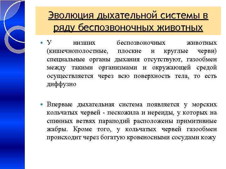 Эволюция дыхательной системы в ряду беспозвоночных животных У низших беспозвоночных животных (кишечнополостные, плоские и