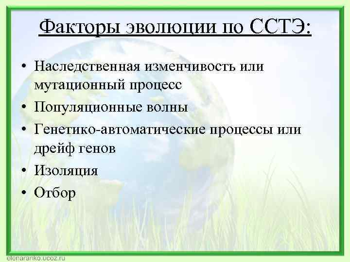 Факторы эволюции по ССТЭ: • Наследственная изменчивость или мутационный процесс • Популяционные волны •
