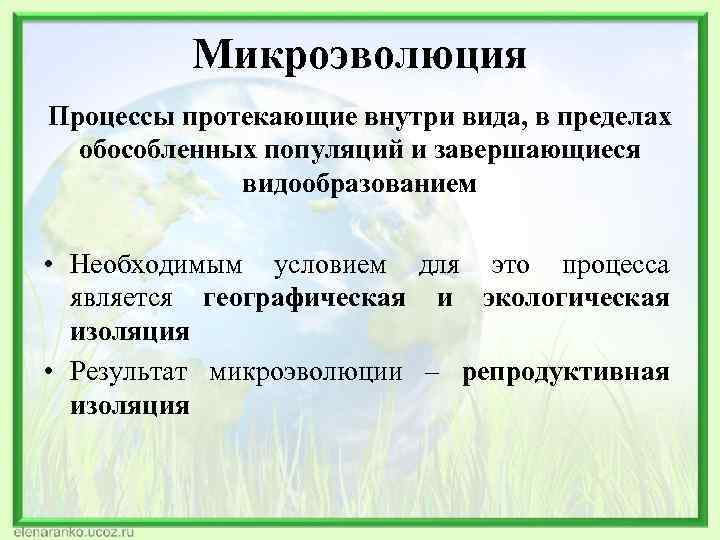 Микроэволюция Процессы протекающие внутри вида, в пределах обособленных популяций и завершающиеся видообразованием • Необходимым