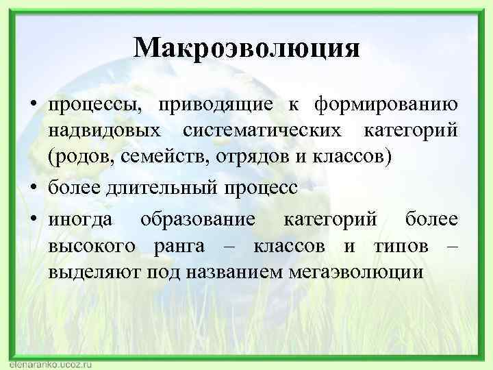 Макроэволюция • процессы, приводящие к формированию надвидовых систематических категорий (родов, семейств, отрядов и классов)
